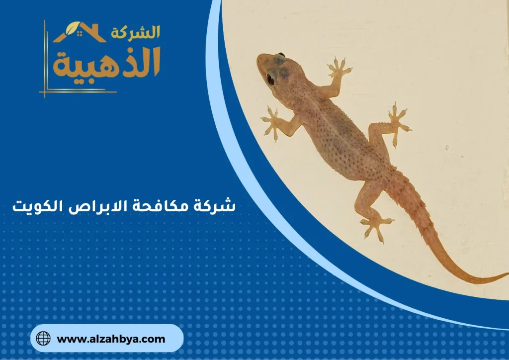 شركة مكافحة الابراص الكويت