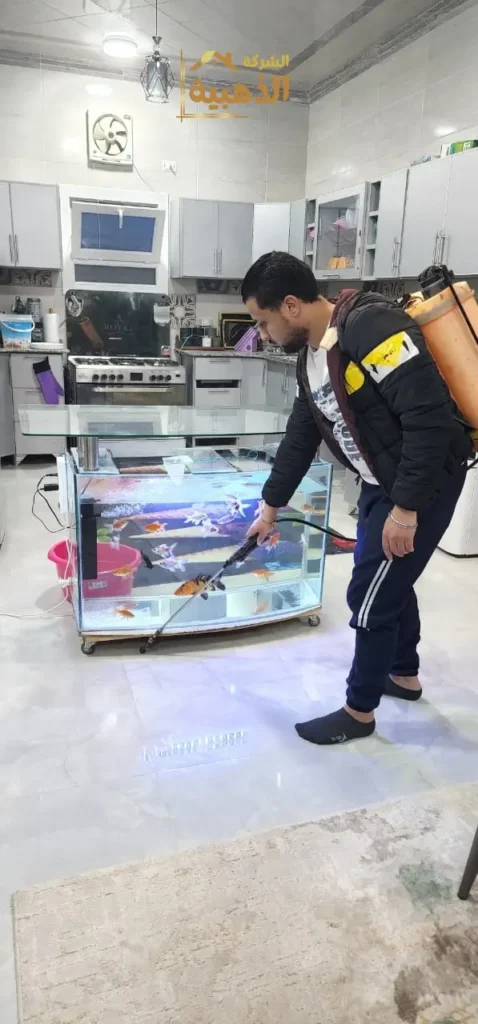 مكافحة حشرات الحين