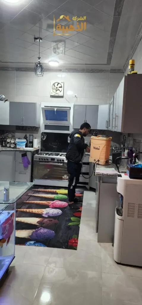مكافحة حشرات المطبخ