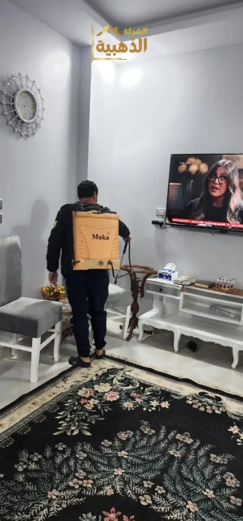 رش حشرات